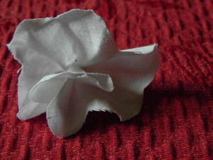 DSCN7988