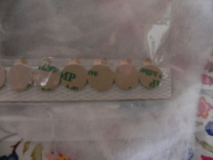 DSCN8005