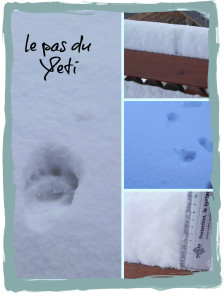 Yeti-bis.jpg