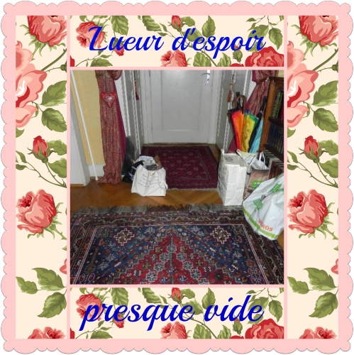 vide-presque-bis.png