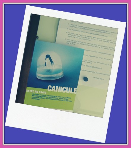 canicule